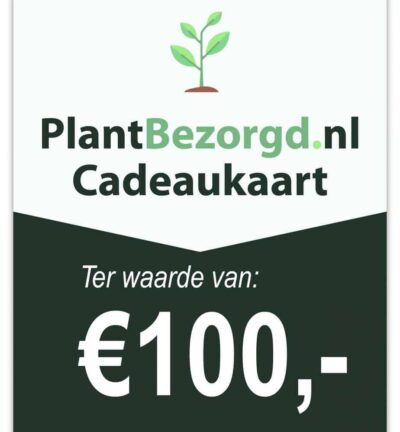 Cadeaukaart €100,00