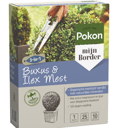 Pokon Buxus & Ilex Dünger 1kg