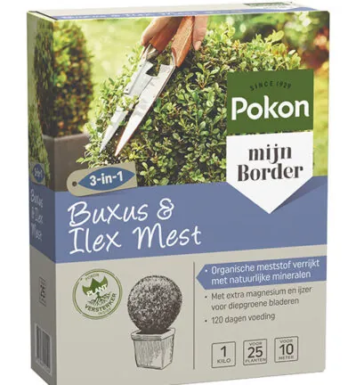 Pokon Buxus & Ilex Mest 1kg